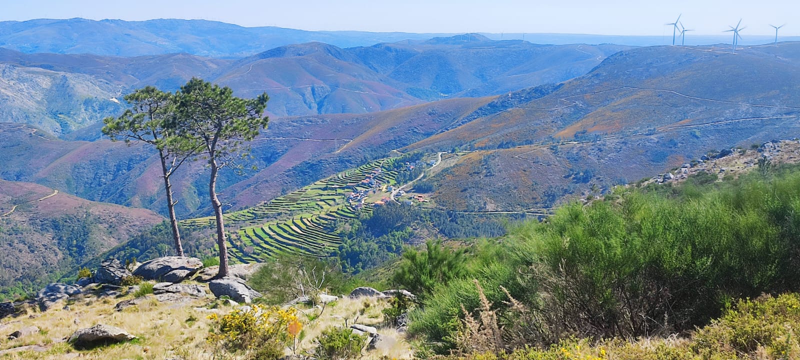 Culture en escalier, étape incontournable lors de nos voyages moto au Portugal