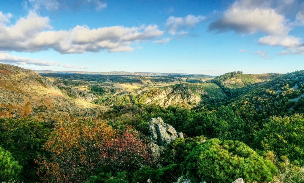 Cette photo nous offre un paysage tout en contraste et en lumière , à l'image de la sauvage Ardèche : du premier à l'arrière plan s'égraine un enchaînement de monts, flanqués de routes éparses et de rares habitations. Cette géographie est piquée d'arbres, d'arbustes et de zones davantage délaissées par la végétation, évoquant les Cévennes ardéchoises